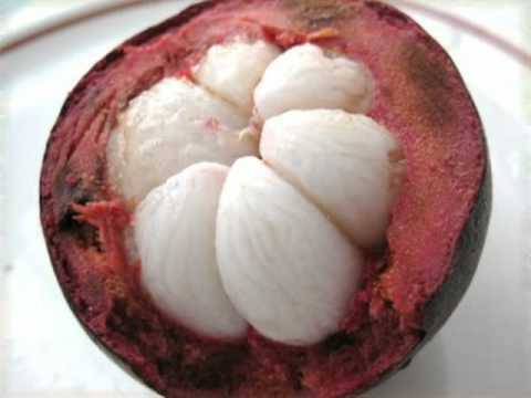 Power Wealth and Strength - the secret of vitality