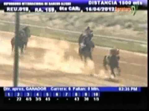 Resumen Lunes, 16 de Abril de 2012 - Rancho Alegre