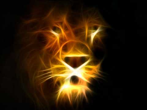 Tiki Taane feat Optimus Gryme - My Lion