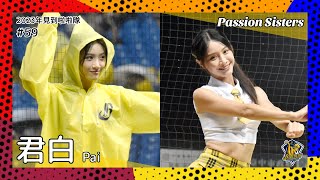 【台湾チア】君白 Pai / Passion Sisters / 2023年見到啦啦隊 #59 [中文歌詞]