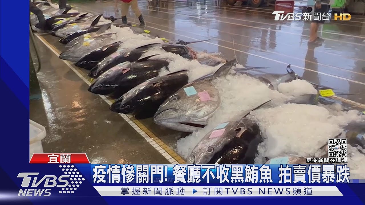 疫情慘關門! 餐廳不收黑鮪魚拍賣價暴跌