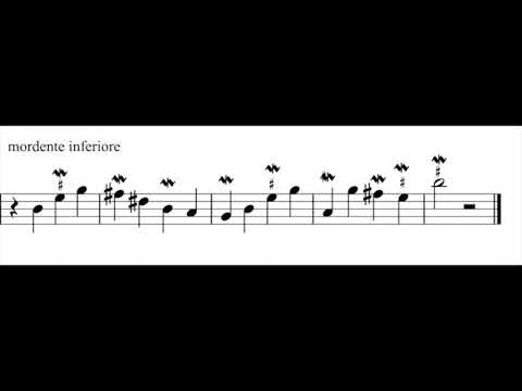 tutorial n. 12 for learning baroque flute