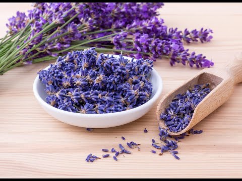 Indian kashmiri lavender flower buds greek organic dried lav...