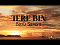 Tere Bin Sanu Soneya Cover Song Rabbi Shergill
