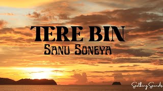 Tere Bin Sanu Soneya  Cover Song  Rabbi Shergill