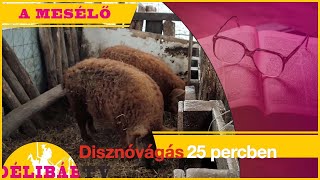 106. - Disznóvágás, HARMADIK felvonás -Délibáb Tv-