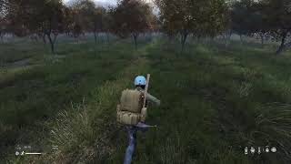 のんびり気ままにDayZ（PS4版）