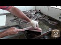Maneira Eficiente Para Tirar Filé De Tilápia Pesqueiro Do Bonito
