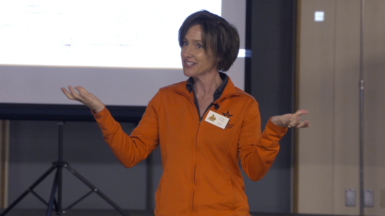 Horse Identification