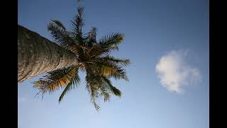 Download lagu Idaman Penuntut siri 020 (16.12.2018) - UWJ@Terengganu FM mp3 Download lagu Idaman Penuntut siri 020 (16.12.2018) - UWJ@Terengganu FM mp3