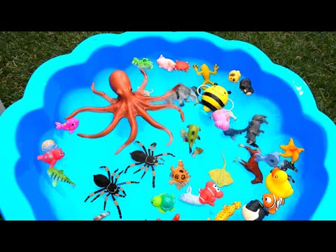 Sea Animal Toys for Kids - Learn Wild Animals Names - Sea Animals Videos for Children