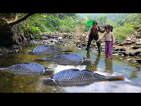 How to catch giant fish in a puddle. Cooking with my daughter. single mother building a new life