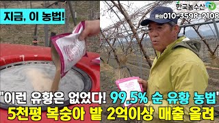 이런 유황은 없었다 99.5% 순 유…
