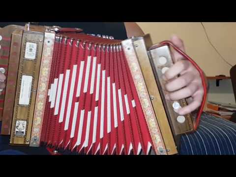 Lezione di organetto - Vibrata e Bassi