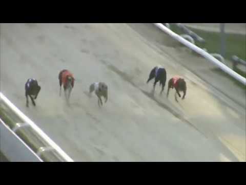 2017 WILLIAM HILL CLASSIC - 2ND SEMI - T6 DROOPYS COUNTRY