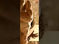 4K Bahubali God Shiva Goosebumps Scene Whatsapp Status Baahubali Prabhas SAIKIRAN SN