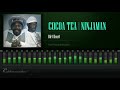 Cocoa Tea & Ninjaman - Dirt Heart (He Prayed Riddim) [HD]