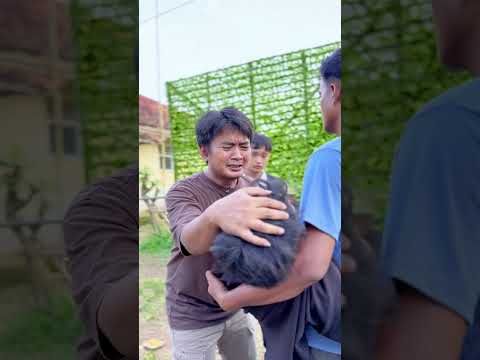 Kak Ilham Kenapa🥹