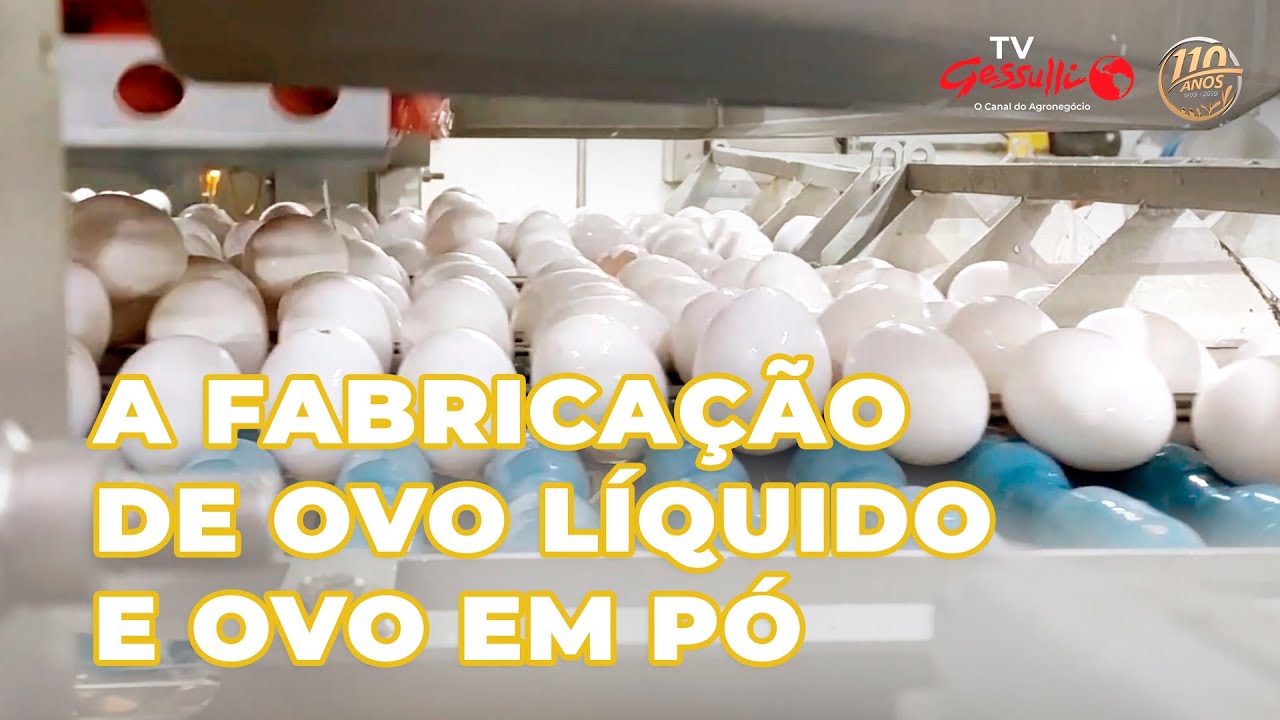 OVO LÍQUIDO E OVO EM PÓ: VEJA COMO É A FABRICAÇÃO