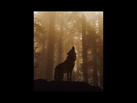 Carter Burwell - 𝐀 𝐍𝐨𝐯𝐚 𝐕𝐢𝐝𝐚 (𝐉𝐚𝐜𝐨𝐛'𝐬 𝐇𝐨𝐰𝐥 𝐚𝐝𝐝𝐞𝐝)