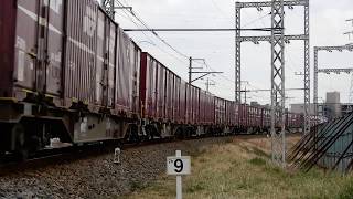 【JR貨物】1094レ EF64-1004 奥中区道踏切 2019.02.27