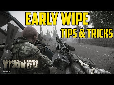 EARLY WIPE TIPS & TRICKS-Money Making, Leveling Up, and Scav Management