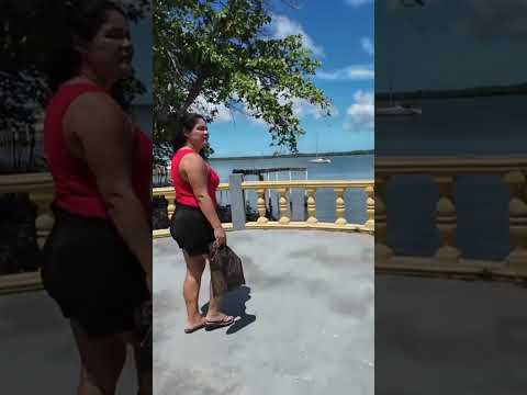 #alcobaça#bahia#motorhome#turismo #vidanomade