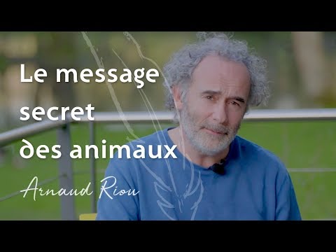 download lagu mp3 mp4 Symbole De L Escargot, download lagu Symbole De L Escargot gratis, unduh video klip Symbole De L Escargot
