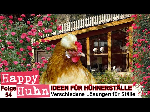 E54 Ideas for Chicken Coops Part 1 - HAPPY CHICKEN - Building a Coop for Chickens - Chicken Keepi...