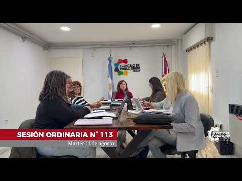 SESIÓN ORDINARIA N° 113