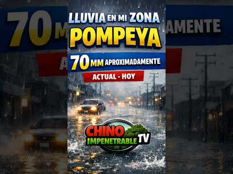 70mm de lluvia en Mision Nueva Pompeya #viralvideo #video #reels