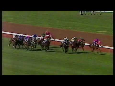 1991 Craiglee Stakes - Durbridge