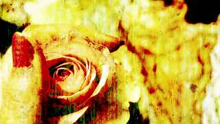 The Telescopes – “Only Lovers Know”