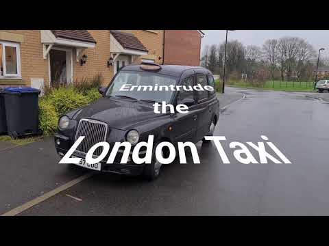 Wo ist des Kraftstoffverdunstungskanisters im London Taxi TX4?