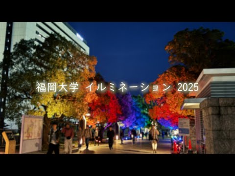 看護学科 【福岡大学】イルミネーション 2025