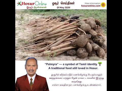 Palmyra Root Continues to Be a Popular Traditional Food in Hosur