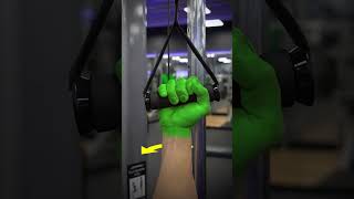 Cable Triceps Exercise Variations (KNOW THE DIFFERENCE!)