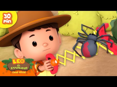 🪲🐞 ¡LAS MEJORES AVENTURAS CON INSECTOS! 🐛 ¡Arañas venenosas y más! | Leo, El Explorador | Animación