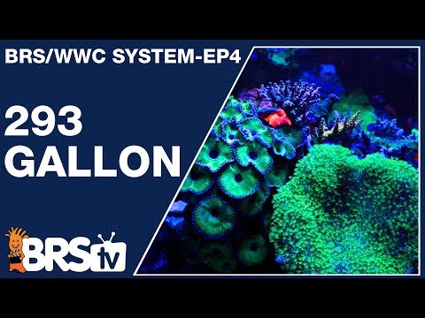 Ep4: This is how to keep a 293gal Mixed Reef Tank - The BRS/WWC System | BRStv