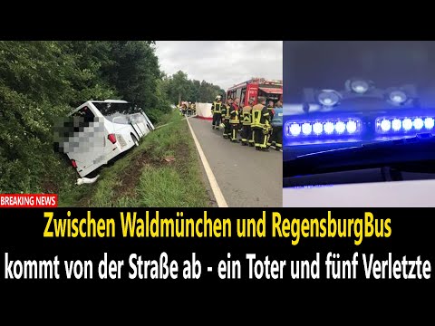 Zwischen Waldmünchen und RegensburgBus kommt von der Straße ab - ein Toter und fünf Verletzte