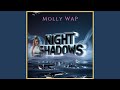 Night Shadows