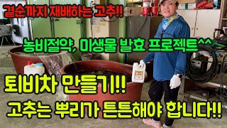 고추농사 잘 짓는 법!! 퇴비차 만들어 농비도 절약하고 고추 잘 키워보세요^^ 고추농사의 핵심은 뿌리입니다!…