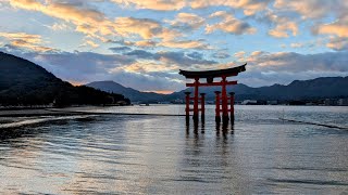 厳島神社 と おにぎり屋 2024年12月30日