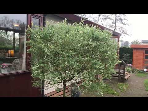 Leuk chalet op camping de Lucht in Renswoude