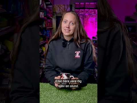 Marsvinsmugg i presentförpackning 240ml - Video