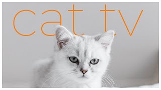 Cat TV 🐱🐦 | Relaxing Bird Watching & Nature Video for Cats | Calmness & Enrichment for Cats