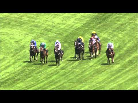 2014 Queen Anne Stakes - Royal Ascot - Toronado - Racing TV