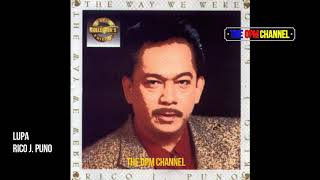 Rico J  Puno   Lupa