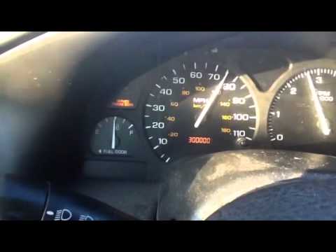 Something you don't see everyday