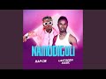 Namudiguli
